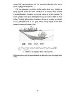 Diplomdarbs 'Ķūžu ezera piekrastes veģetācijas izmaiņas holocēnā', 34.