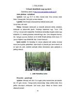 Diplomdarbs 'Ķūžu ezera piekrastes veģetācijas izmaiņas holocēnā', 44.