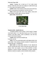 Diplomdarbs 'Ķūžu ezera piekrastes veģetācijas izmaiņas holocēnā', 49.