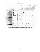 Diplomdarbs 'Ķūžu ezera piekrastes veģetācijas izmaiņas holocēnā', 63.