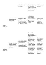 Prakses atskaite 'Kvalifikācijas prakse pirmsskolā', 10.