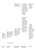 Prakses atskaite 'Kvalifikācijas prakse pirmsskolā', 16.