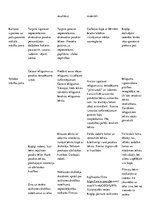 Prakses atskaite 'Kvalifikācijas prakse pirmsskolā', 17.