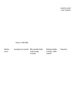 Prakses atskaite 'Kvalifikācijas prakse pirmsskolā', 21.