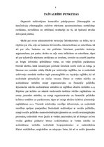 Referāts 'Pašvaldības kā valsts pārvaldes subjekts', 6.