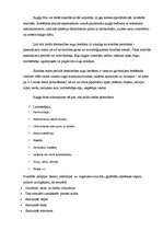 Referāts 'Kuņģa čūla', 7.