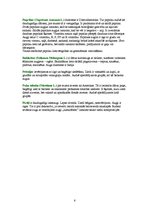 Referāts 'Nakteņu dzimtas augu daudzveidība', 6.