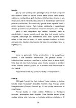 Diplomdarbs 'Eiropas tautu tradicionālās dejas kā tūristu intereses piesaiste', 26.