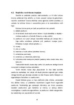 Diplomdarbs 'Eiropas tautu tradicionālās dejas kā tūristu intereses piesaiste', 48.