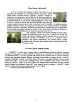 Referāts 'Sauso būvmaisījumu ražošana rūpnīcā "SAKRET"', 6.