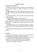 Diplomdarbs 'Viesu nama Rēzeknē darbu organizācijas projekts', 16.