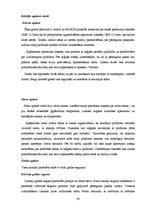 Diplomdarbs 'Viesu nama Rēzeknē darbu organizācijas projekts', 60.