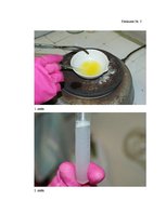 Referāts 'Dabīgā kosmētika, tās sastāvs un ietekme uz organismu', 41.