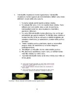 Referāts 'Izņemamās parciālās protēzes ar plastmasas bāzi klīniskie laboratoriskie posmi, ', 9.