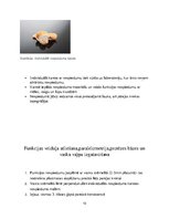 Referāts 'Izņemamās parciālās protēzes ar plastmasas bāzi klīniskie laboratoriskie posmi, ', 10.