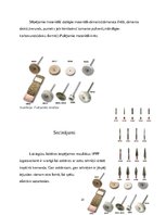 Referāts 'Izņemamās parciālās protēzes ar plastmasas bāzi klīniskie laboratoriskie posmi, ', 24.