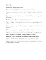 Eseja 'Sports Digitization', 2.