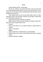 Referāts 'Agresija un tās veicinošie faktori pusaudžu vecumā', 2.