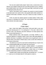 Referāts 'Latvijas plēsīgie dzīvnieki', 6.