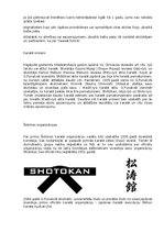 Referāts 'Karate vēsture', 6.