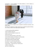 Referāts 'Karate vēsture', 17.