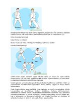 Referāts 'Karate vēsture', 22.