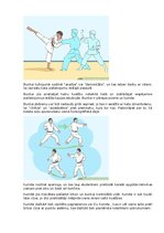 Referāts 'Karate vēsture', 24.