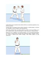 Referāts 'Karate vēsture', 25.