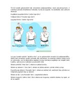 Referāts 'Karate vēsture', 26.