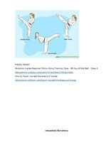 Referāts 'Karate vēsture', 27.