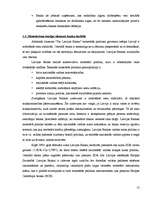 Prakses atskaite 'A/S “Latvijas Krājbanka”', 13.