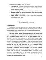 Prakses atskaite 'A/S “Latvijas Krājbanka”', 51.