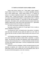 Prakses atskaite 'Prakses atskaite grāmatvedībā', 6.