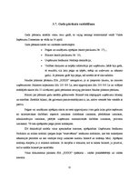 Prakses atskaite 'Prakses atskaite grāmatvedībā', 11.