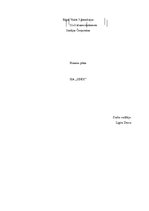 Biznesa plāns 'SIA "Sindi" biznesa plāns', 1.