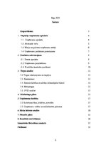 Biznesa plāns 'SIA "Sindi" biznesa plāns', 2.