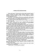 Biznesa plāns 'SIA "Sindi" biznesa plāns', 3.