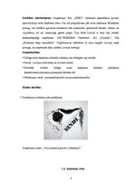 Biznesa plāns 'SIA "Sindi" biznesa plāns', 5.