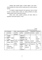 Biznesa plāns 'SIA "Sindi" biznesa plāns', 9.