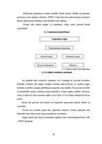 Biznesa plāns 'SIA "Sindi" biznesa plāns', 10.