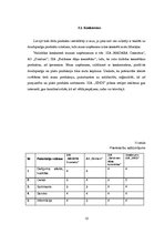 Biznesa plāns 'SIA "Sindi" biznesa plāns', 12.