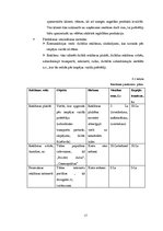 Biznesa plāns 'SIA "Sindi" biznesa plāns', 17.