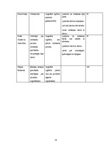 Biznesa plāns 'SIA "Sindi" biznesa plāns', 19.