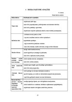 Biznesa plāns 'SIA "Sindi" biznesa plāns', 21.