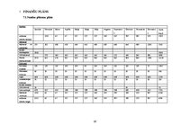 Biznesa plāns 'SIA "Sindi" biznesa plāns', 22.