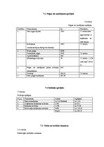 Biznesa plāns 'SIA "Sindi" biznesa plāns', 23.