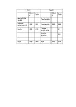 Biznesa plāns 'SIA "Sindi" biznesa plāns', 25.