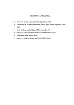 Biznesa plāns 'SIA "Sindi" biznesa plāns', 28.