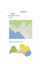 Biznesa plāns 'SIA "Sindi" biznesa plāns', 29.