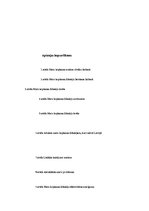 Biznesa plāns 'SIA "Sindi" biznesa plāns', 33.